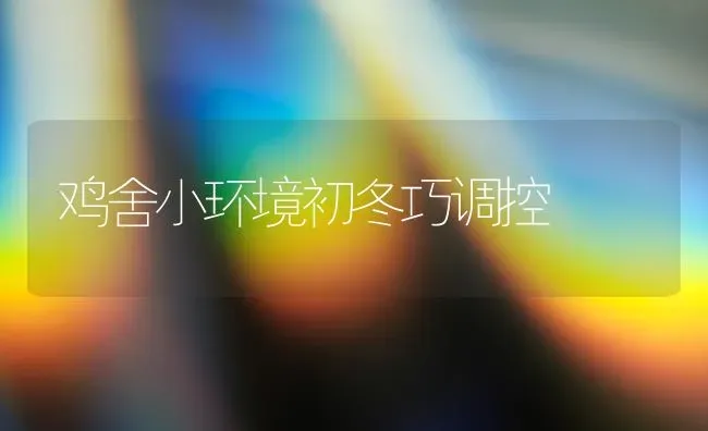 鸡舍小环境初冬巧调控 | 家禽养殖