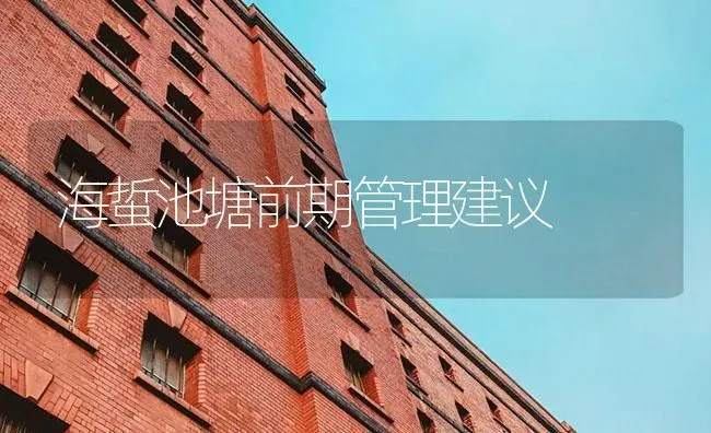 海蜇池塘前期管理建议 | 海水养殖