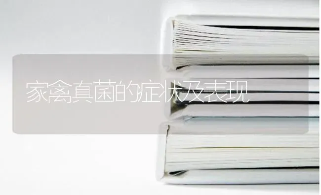 家禽真菌的症状及表现 | 家禽养殖