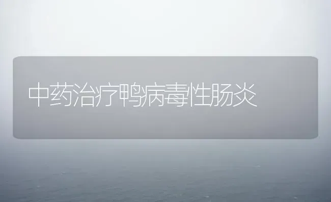 中药治疗鸭病毒性肠炎 | 养殖病虫害防治
