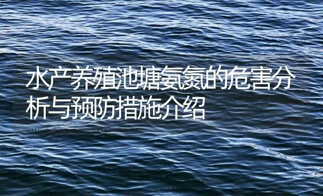 水产养殖池塘氨氮的危害分析与预防措施介绍 | 动物养殖百科