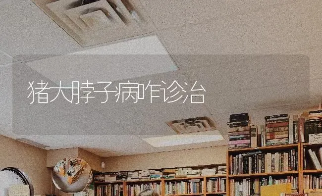 猪大脖子病咋诊治 | 家畜养殖
