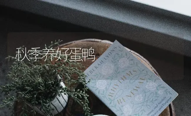 秋季养好蛋鸭 | 家禽养殖