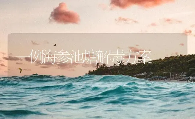 一例海参池塘解毒方案 | 海水养殖