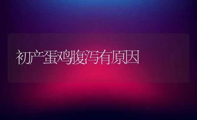 初产蛋鸡腹泻有原因 | 家禽养殖