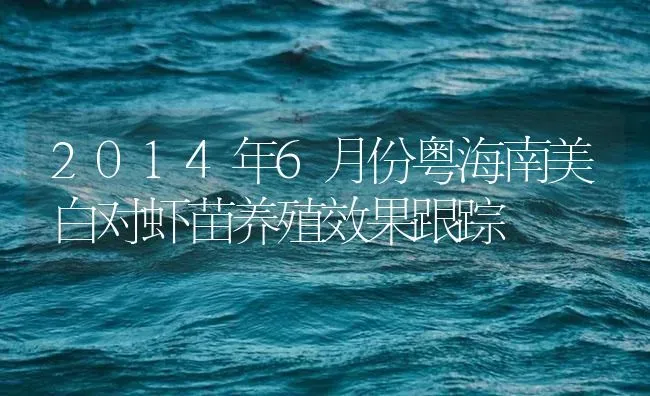 2014年6月份粤海南美白对虾苗养殖效果跟踪 | 海水养殖