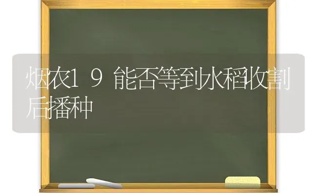 仔猪断奶诱食妙法 断奶后不掉膘 | 家畜养殖