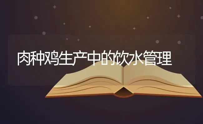 肉种鸡生产中的饮水管理 | 家禽养殖