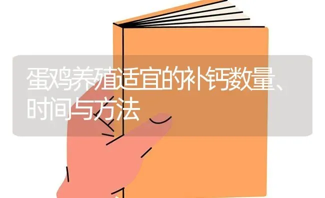 蛋鸡养殖适宜的补钙数量、时间与方法 | 家禽养殖