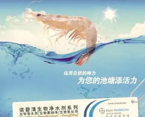 净水剂在土塘养殖白对虾中的使用分享