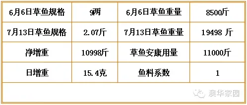 行情低迷 看草鱼安康如何帮助养殖朋友逆市赢利