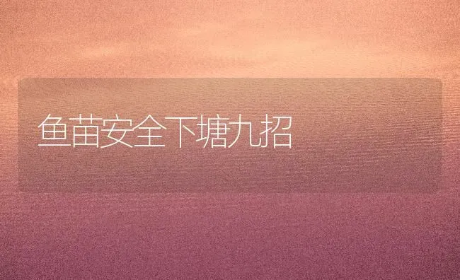 鱼苗安全下塘九招 | 淡水养殖