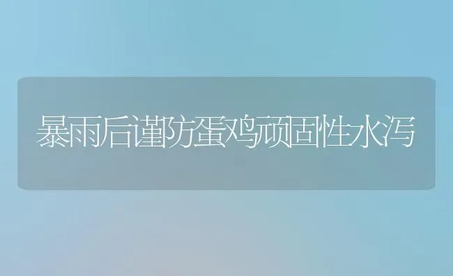 暴雨后谨防蛋鸡顽固性水泻 | 家禽养殖