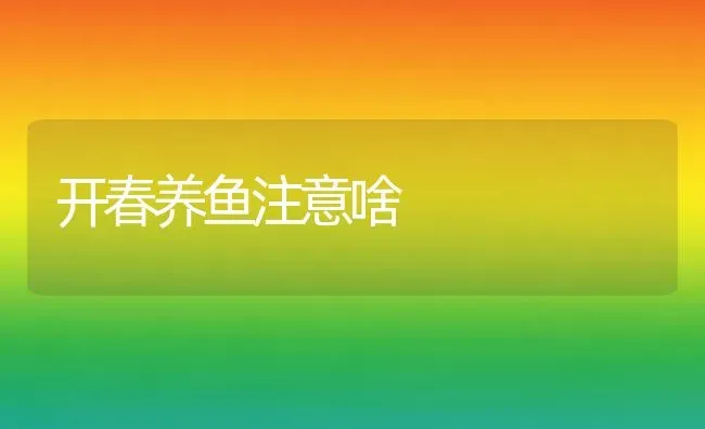 开春养鱼注意啥 | 淡水养殖