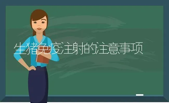 生猪免疫注射的注意事项 | 家畜养殖