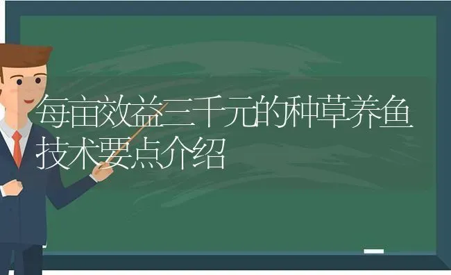 每亩效益三千元的种草养鱼技术要点介绍 | 动物养殖百科