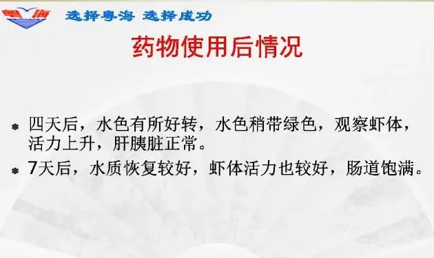 南美白对虾塘铁锈底质褐色水处理案例