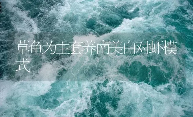 草鱼为主套养南美白对虾模式 | 海水养殖