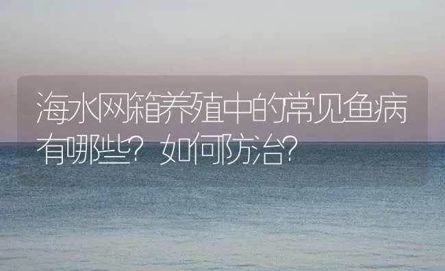 海水网箱养殖中的常见鱼病有哪些？如何防治？ | 海水养殖