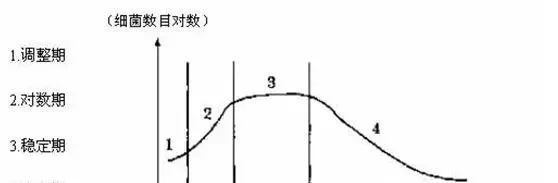 光合细菌在水产养殖过程中的作用，你都知道吗