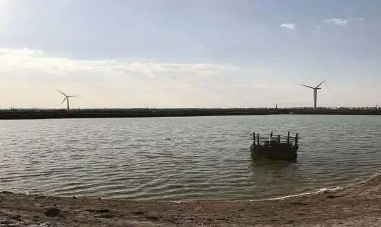 脊尾白虾种虾塘养殖管理
