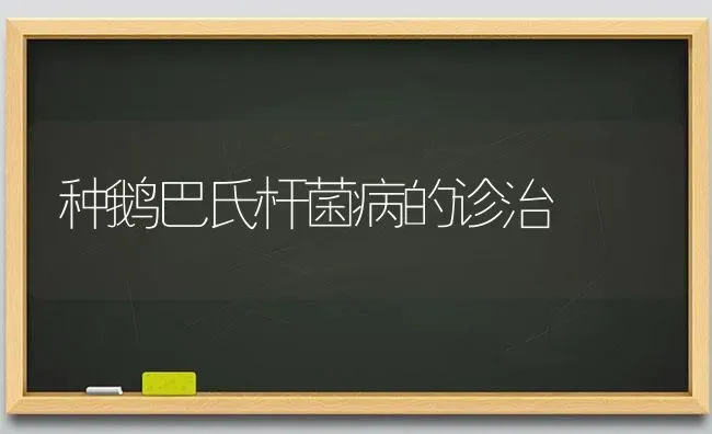 种鹅巴氏杆菌病的诊治 | 家禽养殖