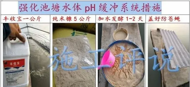 全国大面积高温天气，光照太长太强，池塘死藻多发的问题怎么解决？