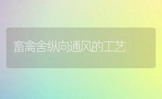 畜禽舍纵向通风的工艺 | 家禽养殖