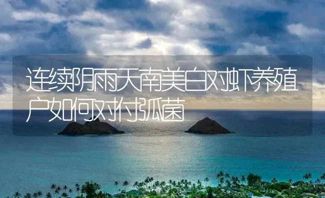 连续阴雨天南美白对虾养殖户如何对付弧菌 | 海水养殖