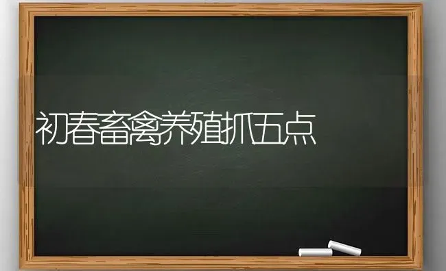初春畜禽养殖抓五点 | 家禽养殖
