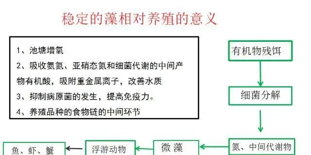 稳定池塘藻相稳定水质的方法及标准