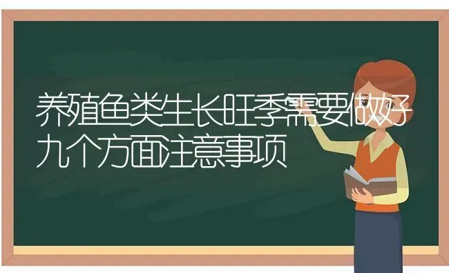 养殖鱼类生长旺季需要做好九个方面注意事项 | 动物养殖百科