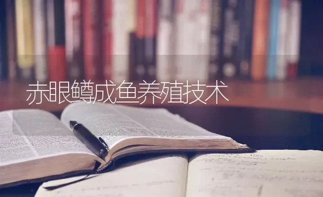 赤眼鳟成鱼养殖技术 | 淡水养殖