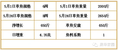 行情低迷 看草鱼安康如何帮助养殖朋友逆市赢利