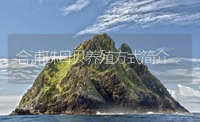 合浦珠母贝养殖方式简介 | 海水养殖