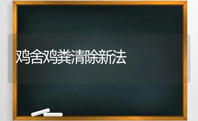 鸡舍鸡粪清除新法 | 家禽养殖