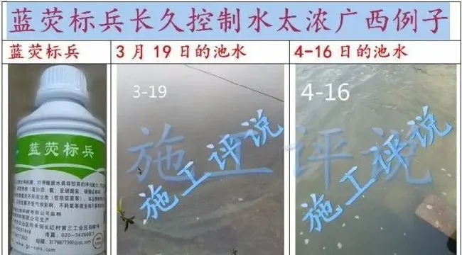 全国大面积高温天气，光照太长太强，池塘死藻多发的问题怎么解决？