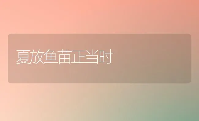 夏放鱼苗正当时 | 淡水养殖