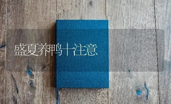 盛夏养鸭十注意 | 家禽养殖