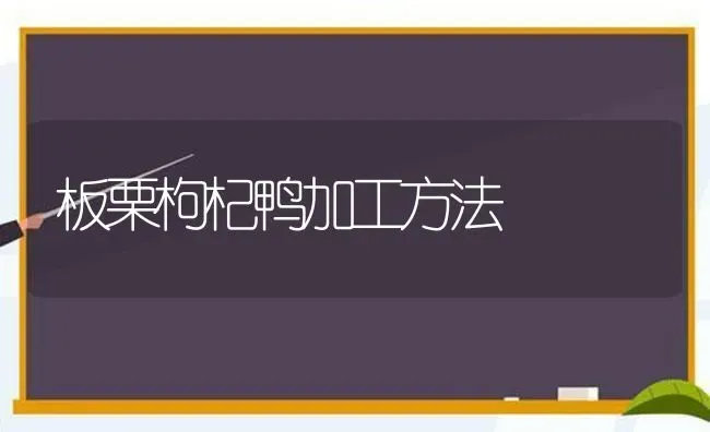 板栗枸杞鸭加工方法 | 家禽养殖