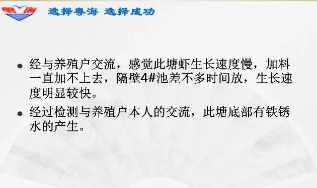 南美白对虾塘铁锈底质褐色水处理案例