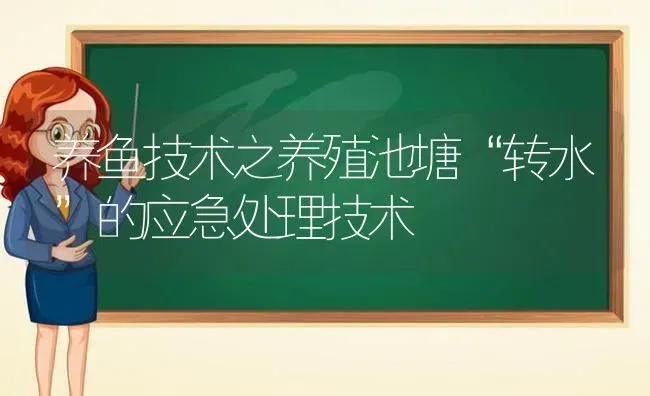 养鱼技术之养殖池塘“转水”的应急处理技术 | 动物养殖百科