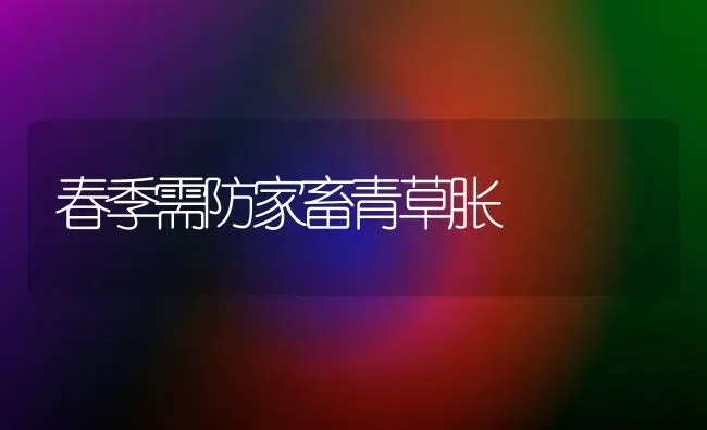 春季需防家畜青草胀 | 家畜养殖