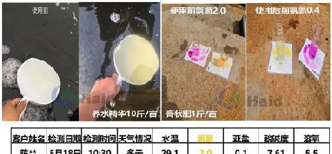 南美白对虾+非洲斑节对虾两造虾模式，让养殖稳定盈利！“黑”金刚苗期攻略，请收好！