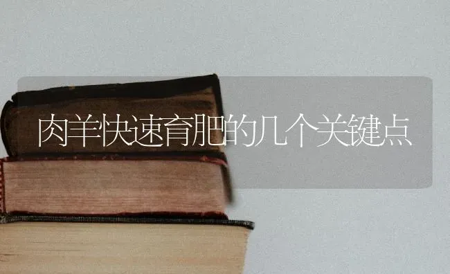 肉羊快速育肥的几个关键点 | 家畜养殖