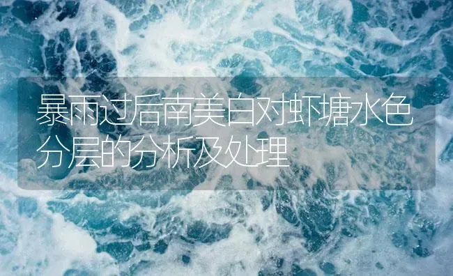 暴雨过后南美白对虾塘水色分层的分析及处理 | 海水养殖