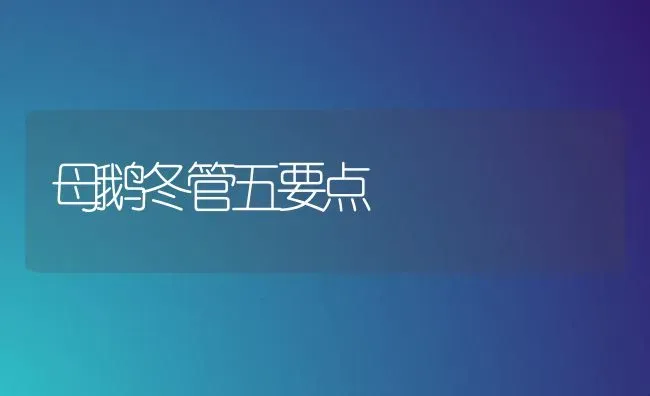 母鹅冬管五要点 | 家禽养殖