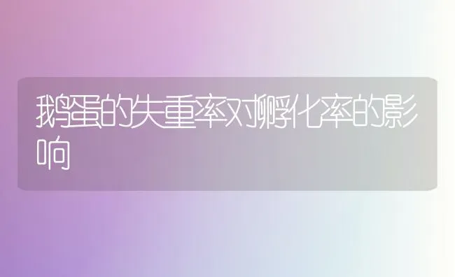 鹅蛋的失重率对孵化率的影响 | 家禽养殖