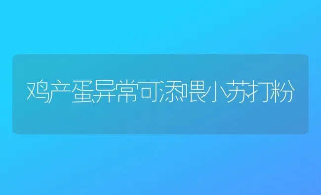 鸡产蛋异常可添喂小苏打粉 | 家禽养殖