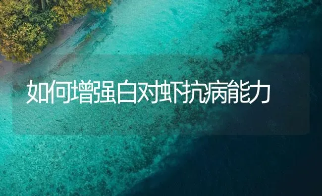 如何增强白对虾抗病能力 | 海水养殖